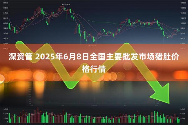 深资管 2025年6月8日全国主要批发市场猪肚价格行情