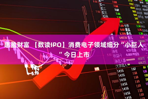 惠盈财富 【数读IPO】消费电子领域细分“小巨人”今日上市