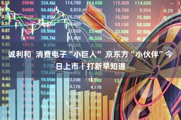诚利和  消费电子“小巨人” 京东方“小伙伴”今日上市丨打新早知道