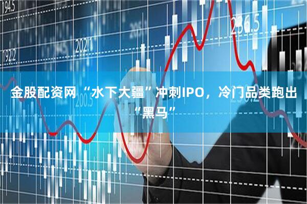 金股配资网 “水下大疆”冲刺IPO，冷门品类跑出“黑马”