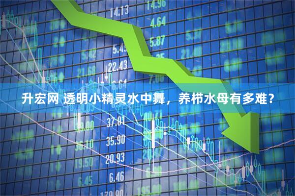 升宏网 透明小精灵水中舞，养栉水母有多难？