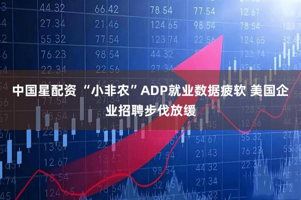 中国星配资 “小非农”ADP就业数据疲软 美国企业招聘步伐放缓