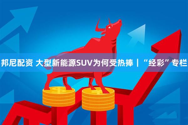 邦尼配资 大型新能源SUV为何受热捧｜“经彩”专栏