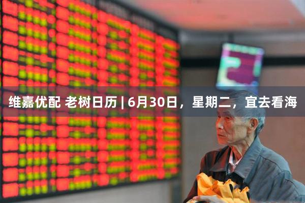 维嘉优配 老树日历 | 6月30日,星期二,宜去看海